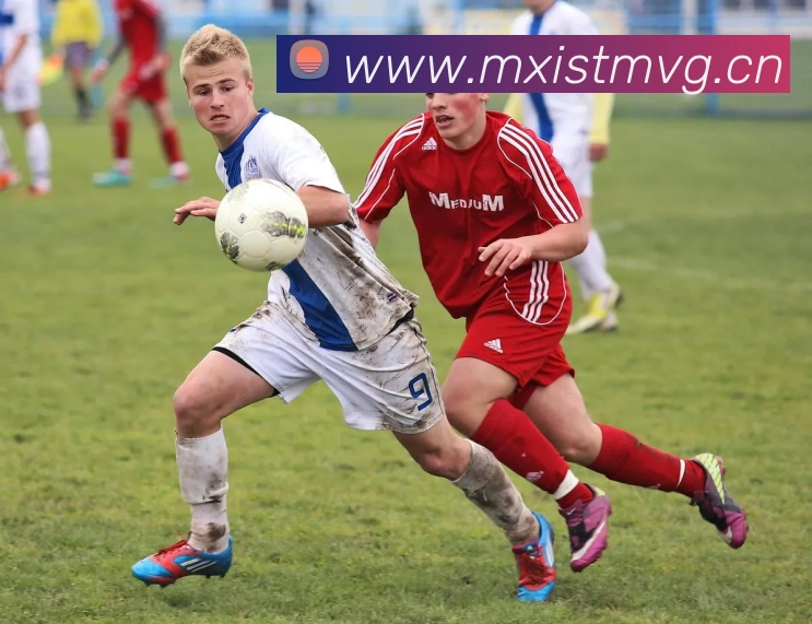 多媒体互动体验